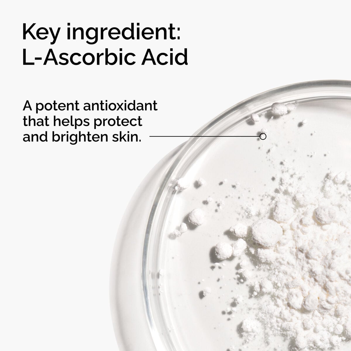 100-l-ascorbic-acid-powder-b9 FY25-D41247-ORD-Web-PDP-100-LAscb-Pwd-1x1-EN-2a.jpg