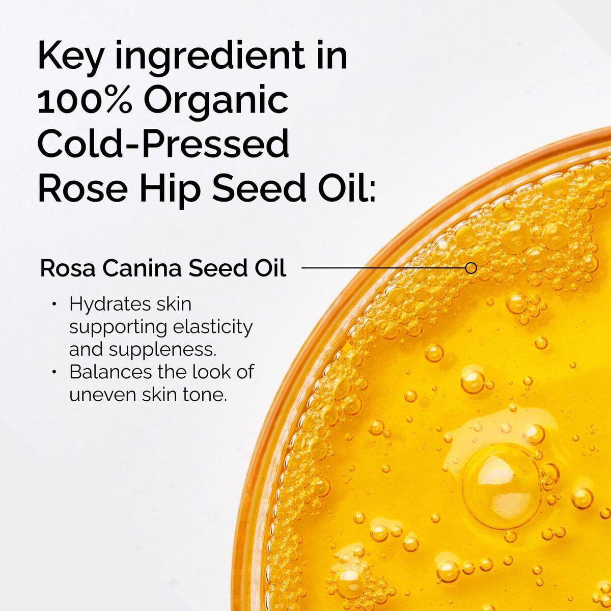 100-organic-cold-pressed-rose-hip-seed-oil-f0 FY25-D41247-ORD-Web-PDP-100-Rose-Hip-Oil-1x1-EN-2.jpg