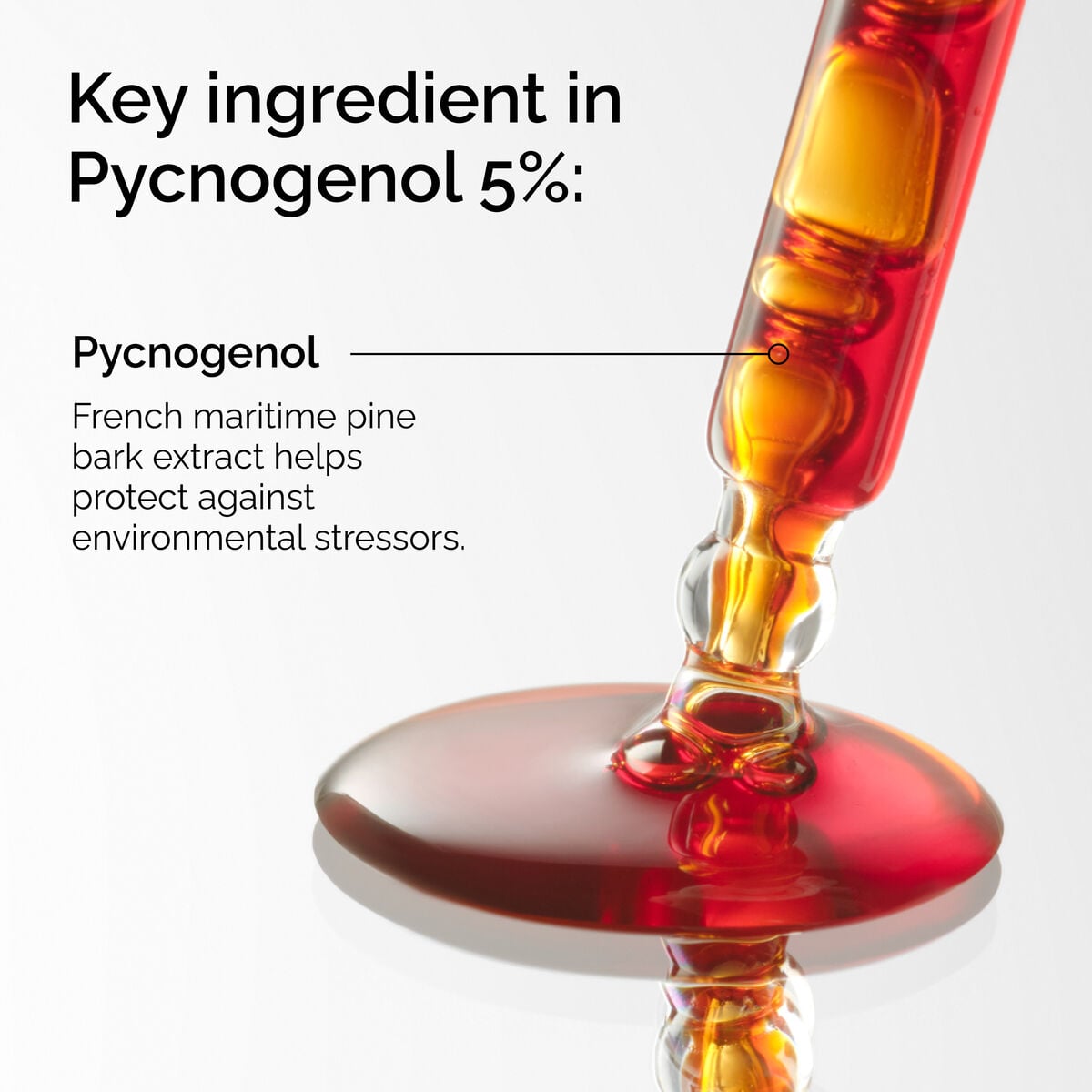 pycnogenol-5-v1 FY25-D41247-ORD-Web-PDP-Pyc-5pct-1x1-EN-2a.jpg
