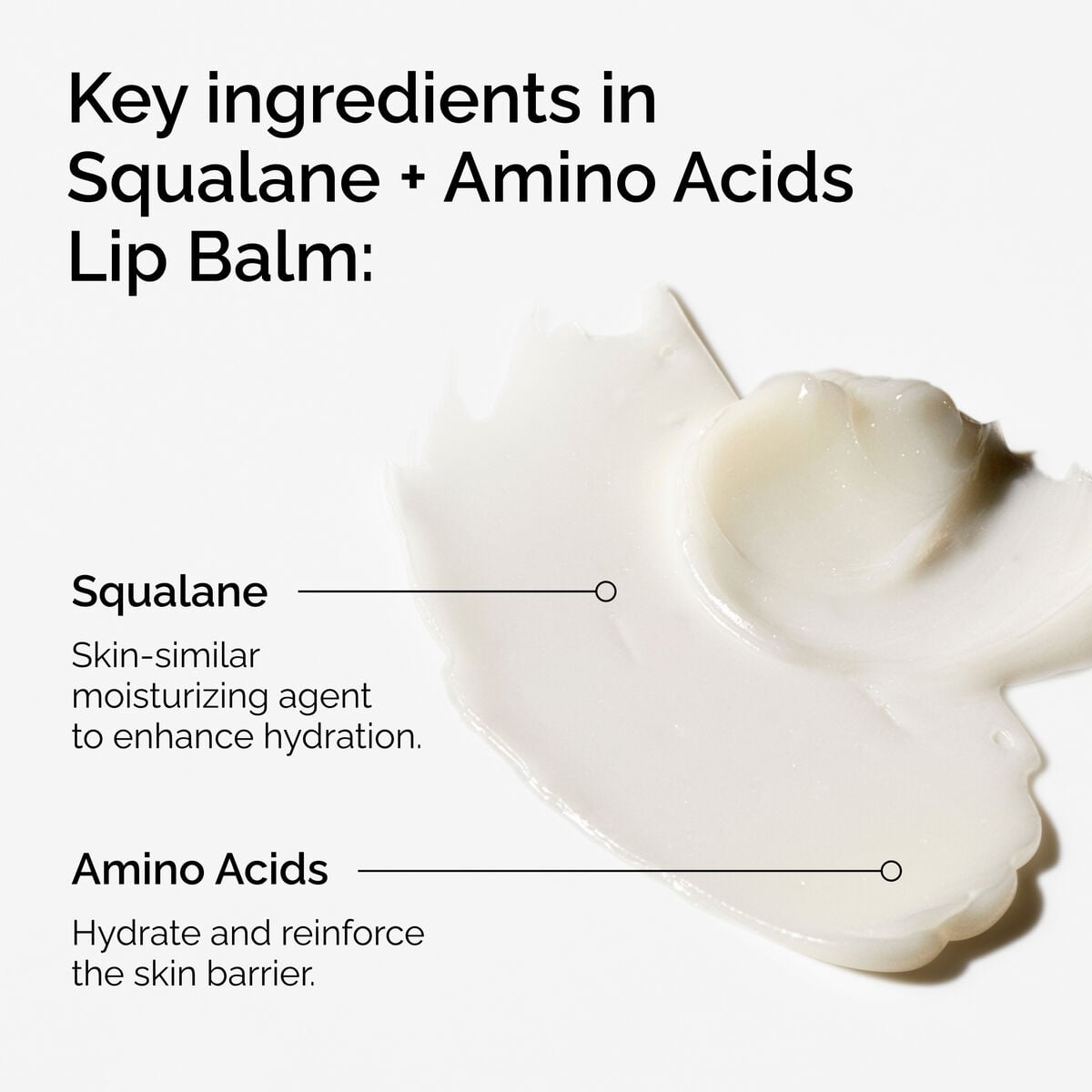 squalane-amino-acids-lip-balm-q6 FY25-D41247-ORD-Web-PDP-Sql-Amino-Lip-1x1-EN-2a.jpg