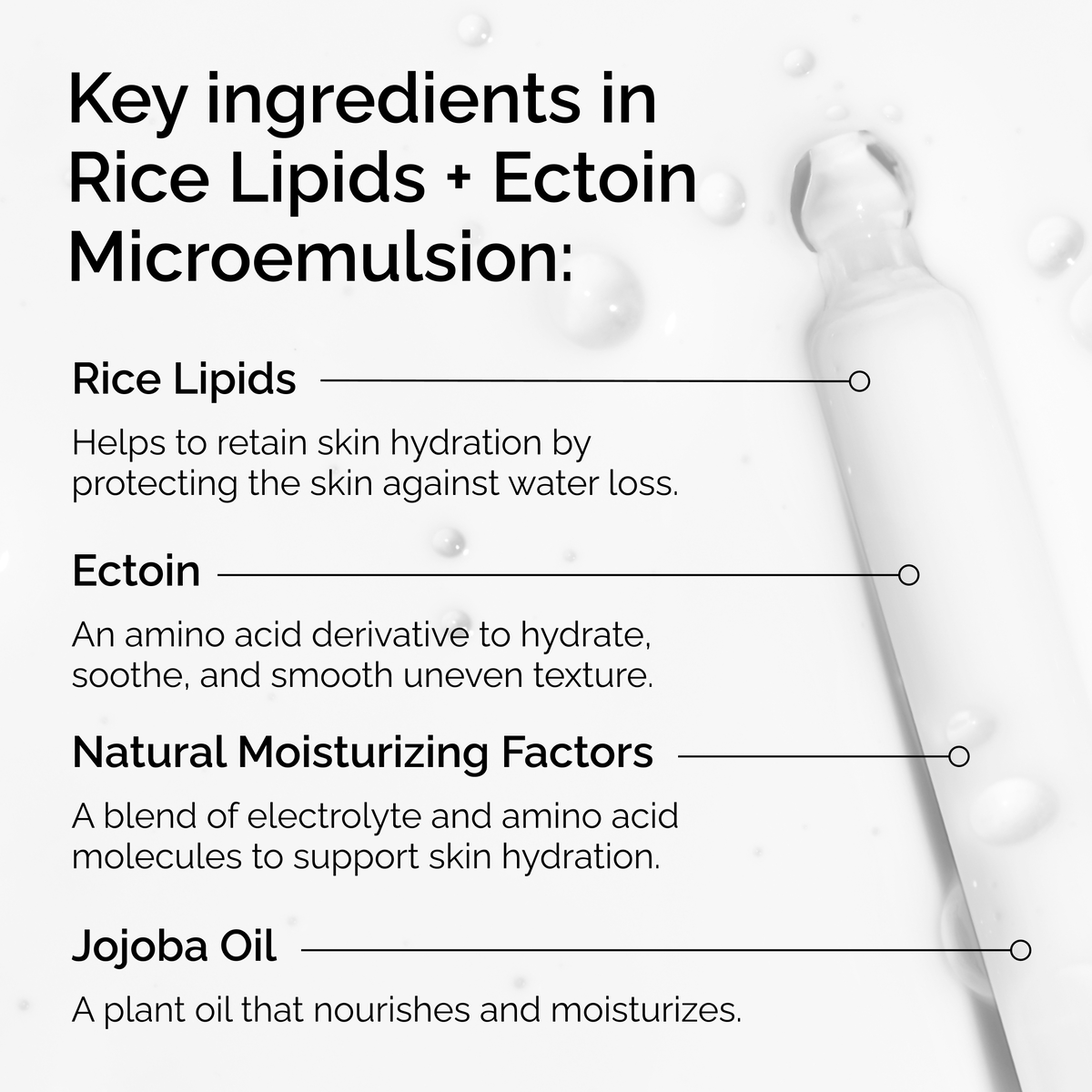 rice-lipids-ectoin-microemulsion-v7 ord-rice-lipids-ectoin-microemulsion-key-ingredients.png