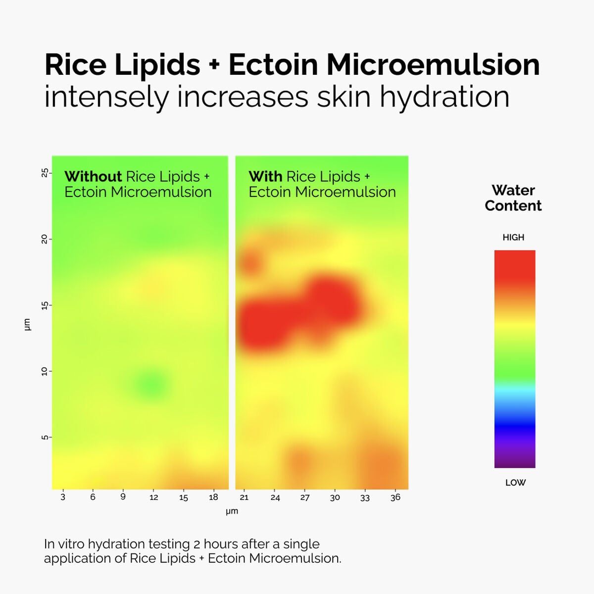 rice-lipids-ectoin-microemulsion-v7 ord-rice-lipids-ectoin-microemulsion-thermal-before-after.jpg